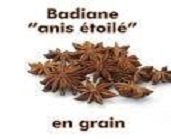 BADIANE BIO EN GRAIN  "Anis Étoilé"  30gr.