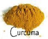 CURCUMA BIO MOULU 30gr.