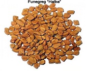 Fenugrec BIO "halba" 30gr.